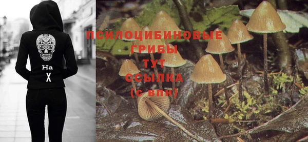 jwh Арсеньев