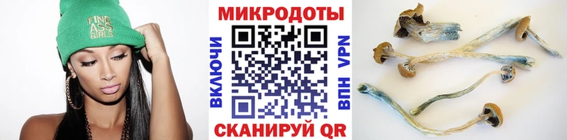 Галлюциногенные грибы Psilocybine cubensis  Купить где  Морозовск 